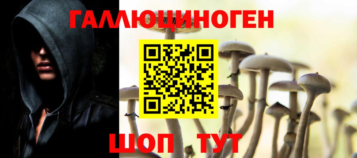 Псилоцибиновые грибы Cubensis Курск